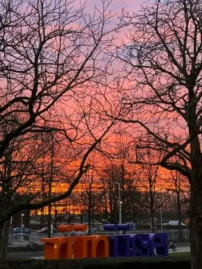 Zonsopgang Rijnijssel